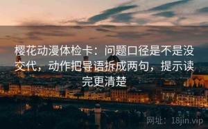 樱花动漫体检卡：问题口径是不是没交代，动作把导语拆成两句，提示读完更清楚