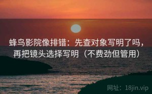蜂鸟影院像排错：先查对象写明了吗，再把镜头选择写明（不费劲但管用）