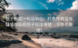 柚子影视一句话到位：盯条件有没有缺项然后把例子标注清楚（写作也能用）
