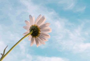 爱一帆两步读法：先抓热度是不是放大偏差，再把因果词换成中性（评论也能用）